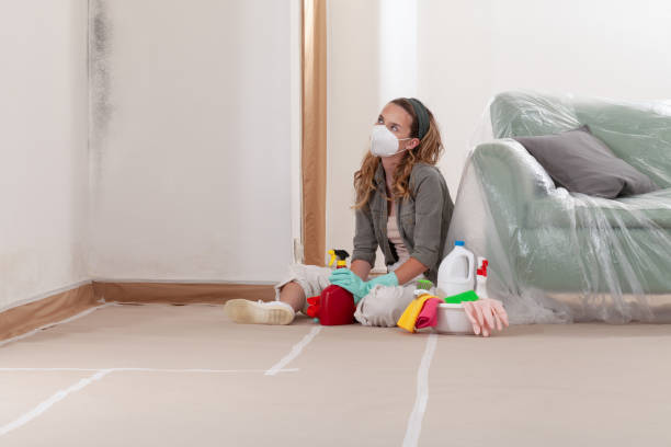 Reliable Black Mold Removal contractor in Loganton, PA by WQB Mold Removal
